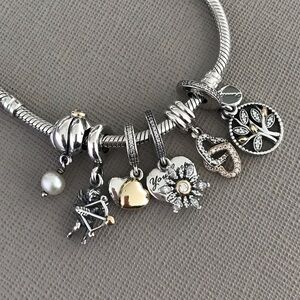 Pandora Two Tone Charms